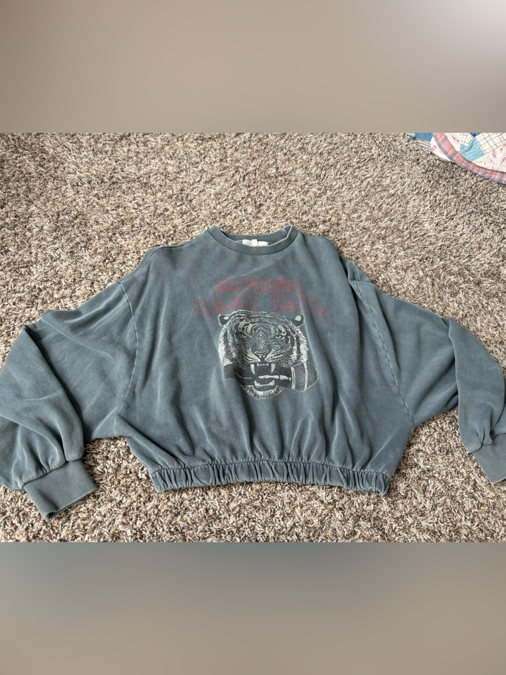 Gilded Intent Dark Gray Cropped Tiger Graphic Sweatshirt with Red Accents